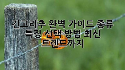 긴고리추 완벽 가이드: 종류, 특징, 선택 방법, 최신 트렌드까지