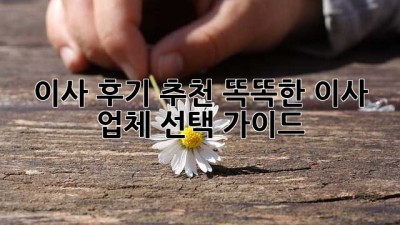 이사 후기 추천: 똑똑한 이사 업체 선택 가이드