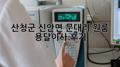산청군 신안면 문대리 원룸 용달이사 후기